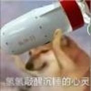 用户头像