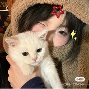 用户头像