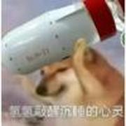 用户头像