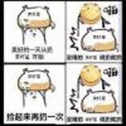 用户头像