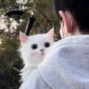 用户头像