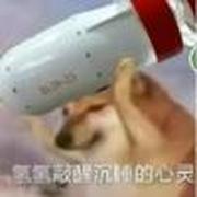 用户头像