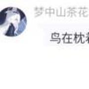 用户头像