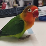 用户头像